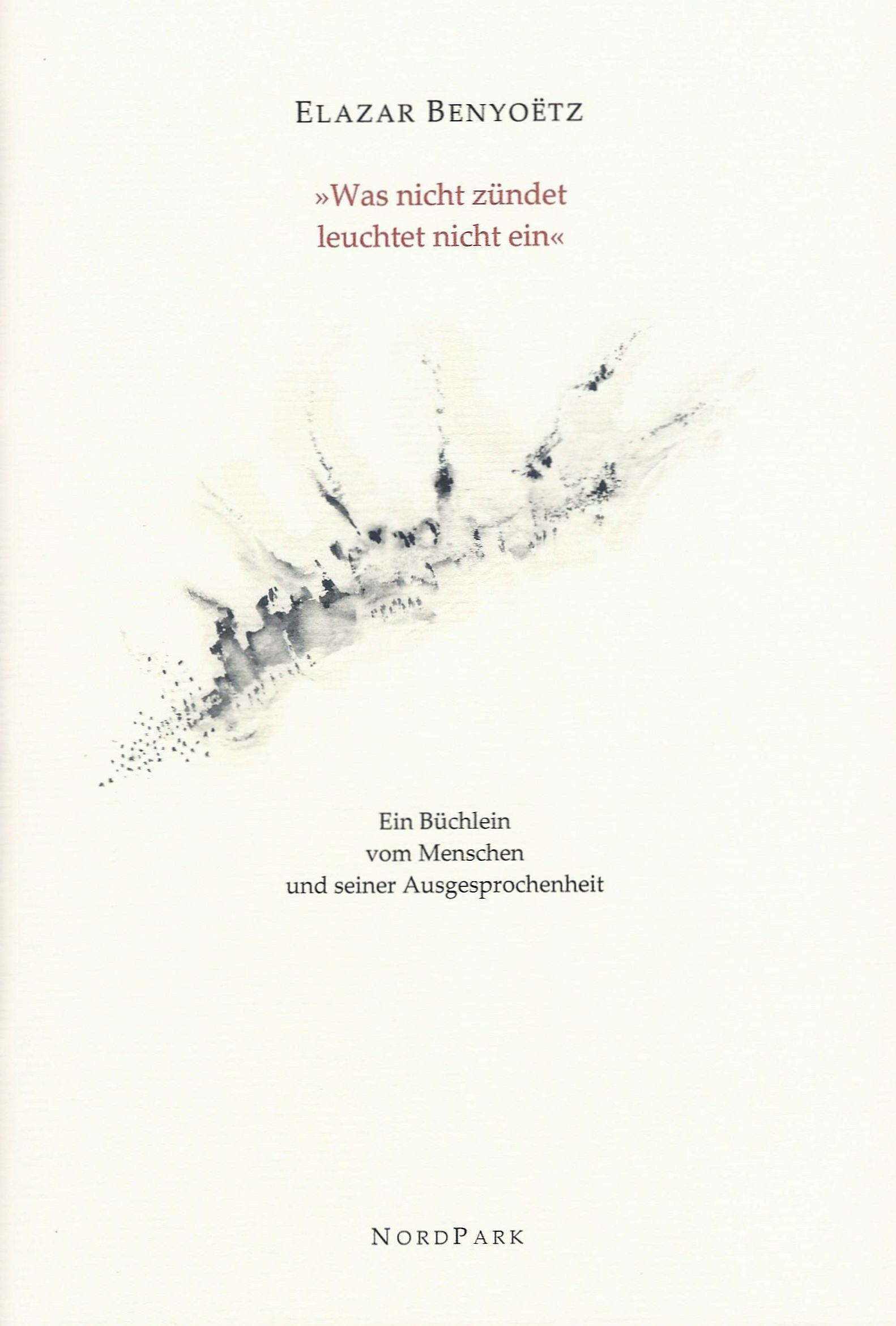 Die Besonderen Hefte: Benyoëtz - cover-benyoetz-was-nicht-zuendet.jpg